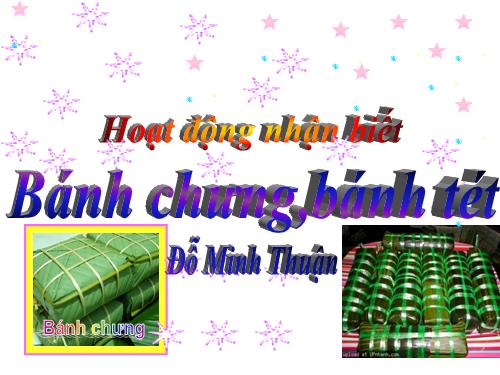 HĐNB Bánh trưng, bánh tét. Đỗ Minh Thuận