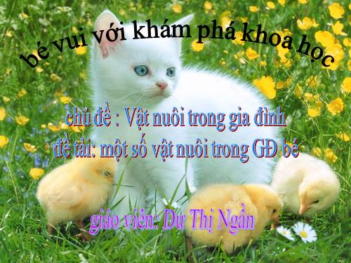 kham pha vat nuoi trong gia dinh