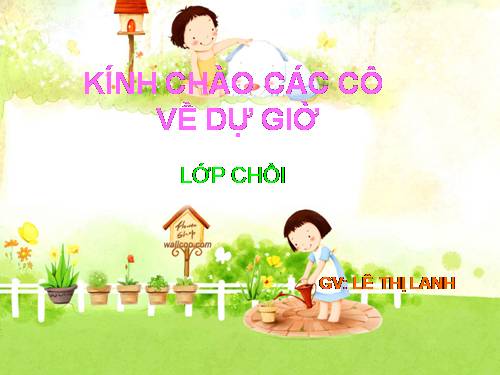 giáo an về cá