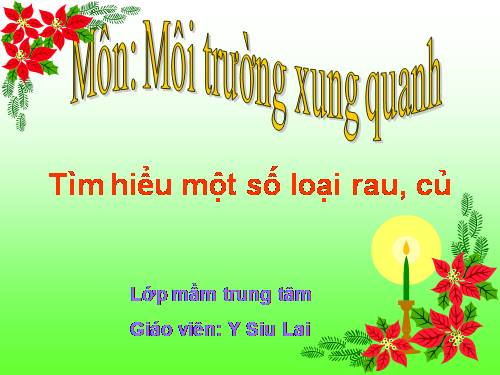 tìm hiểu một số loại rau, củ