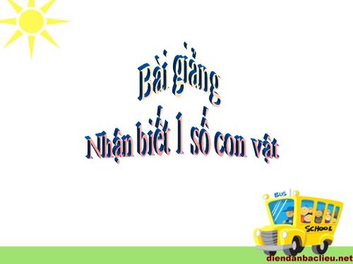 Nhận biết con vật