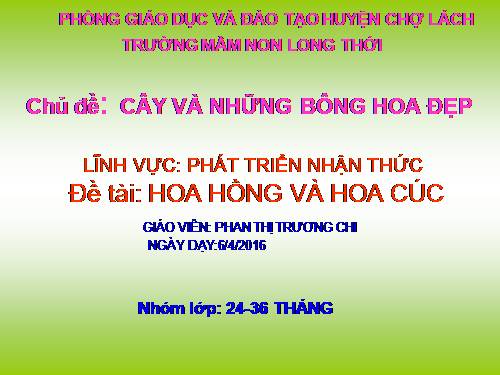 Hoa hong va hoa cuc