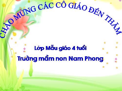 tạo hinh ve thap rua