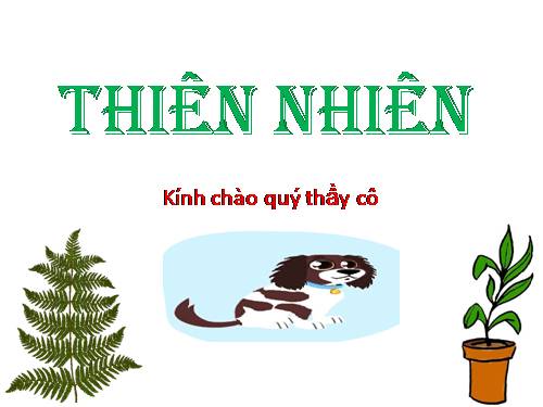 Thiên nhiên