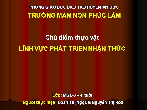 Tim hiểu một số loại hoa