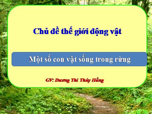 Động vật sống trong rừng