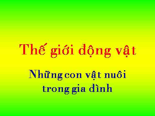 con vat nuoi trong gia dinh