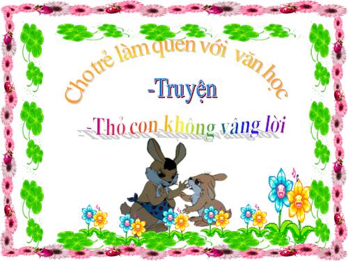 Thỏ con không vâng lời