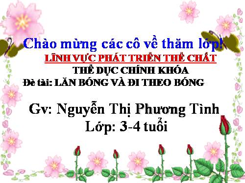 ném trúng đích nằm ngang