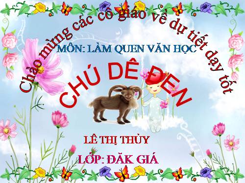 xe lu vâ xe ca