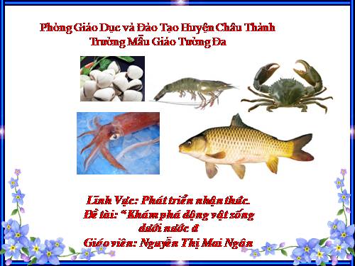 Động vật