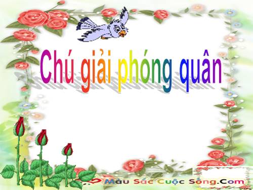 chú giải phóng quân