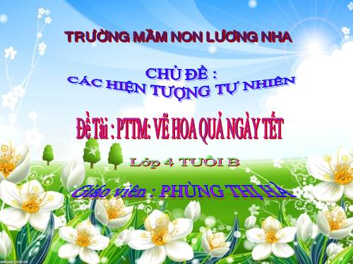 tao hinh ve hoa qua ngay tet