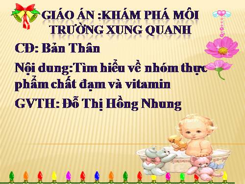 kham pha khoa hoc : nhom thuc pham giau chat dam va vitamin