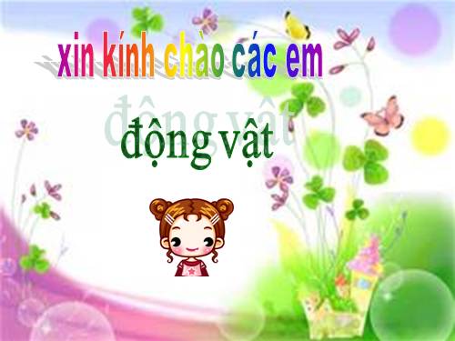 động vật