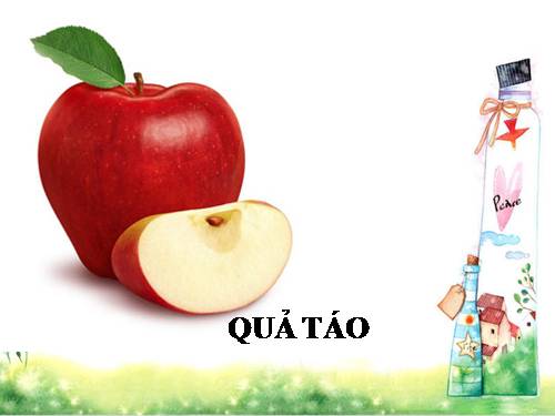 CÁC LOẠI QUẢ