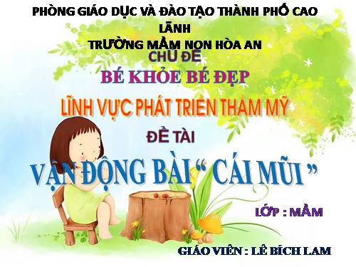 PTTM VD CAI MUI