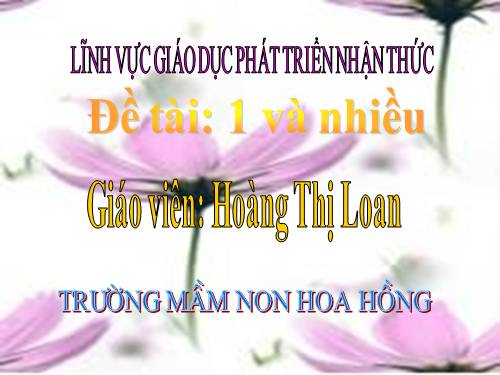 toán: 1 và nhiều