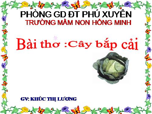 Bài thơ: Cây Bắp Cải