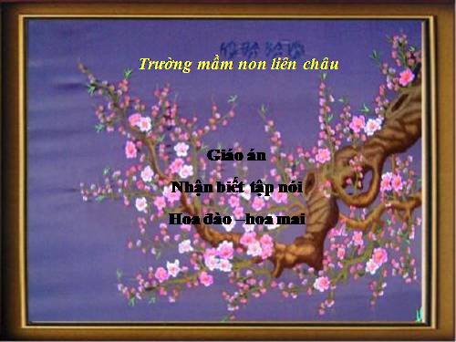 NB-TN HOA ĐAO- HOA MAI