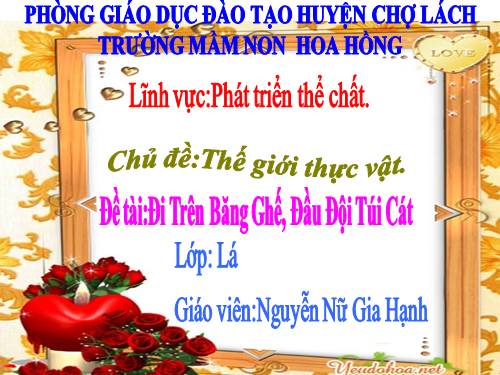 Lĩnh vực phát triển thể chất, đề tài đi trên băng ghế, đầu đội túi cát