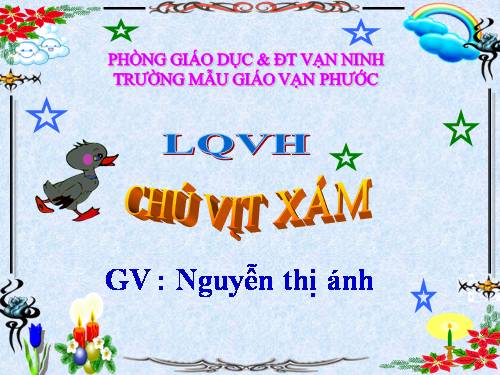 CHÚ VỊT XÁM