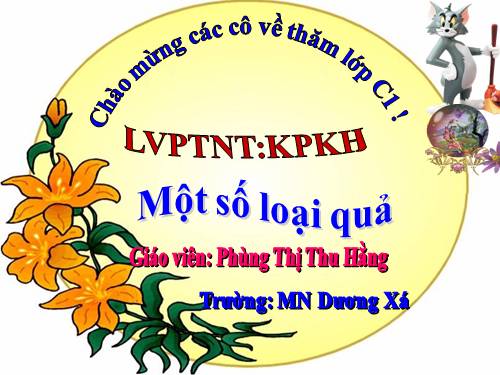 MỘT SỐ LOẠI QUẢ