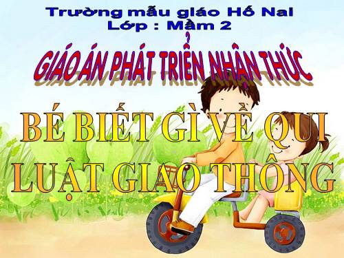 bé biết gì về luật lệ giao thông