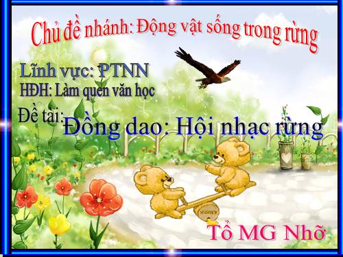 hoi nhac rung