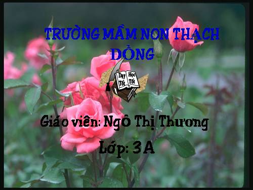 Thơ: Ong và Bướm