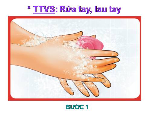 6 buoc rua tay