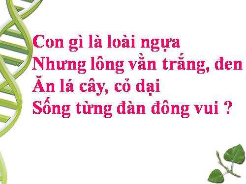 Câu đố cho bé