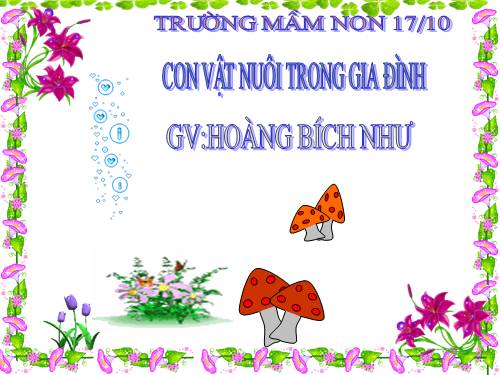 bức tranh con vạt nuôi trong gia đình