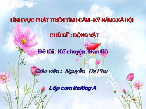 KC: đàn gà