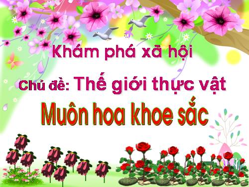 muôn hoa khoe sắc