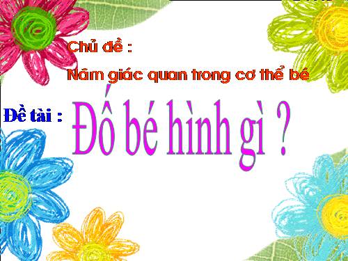 LQVT ĐỐ BÉ HÌNH GÌ?