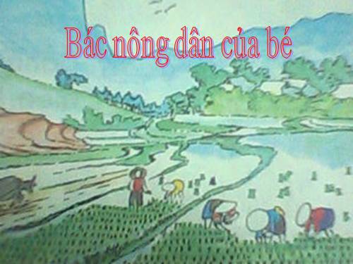 bac nong dan cua be