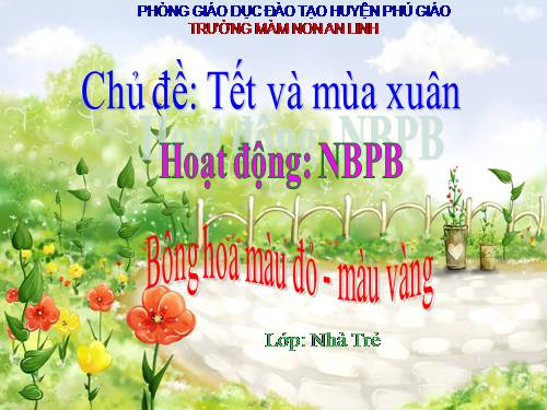 nhận biết phân biệt màu đỏ- màu vàng