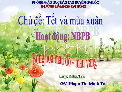 NBPB: màu đỏ- màu vàng