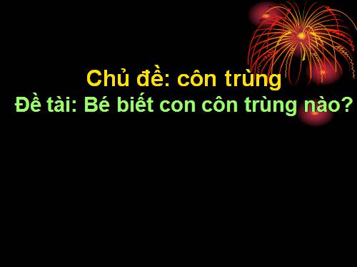 chủ đề côn trùng