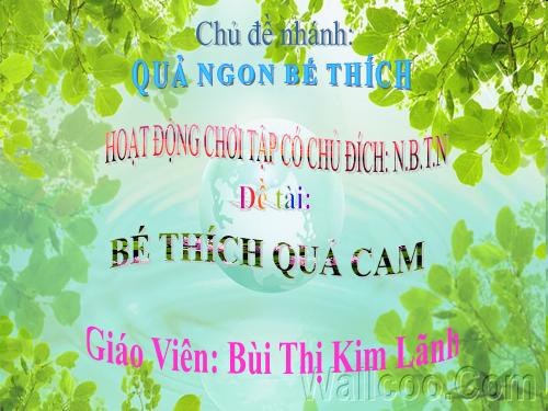 Quẩ cam Bé thích