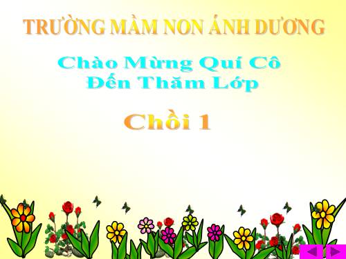 chu bo doi