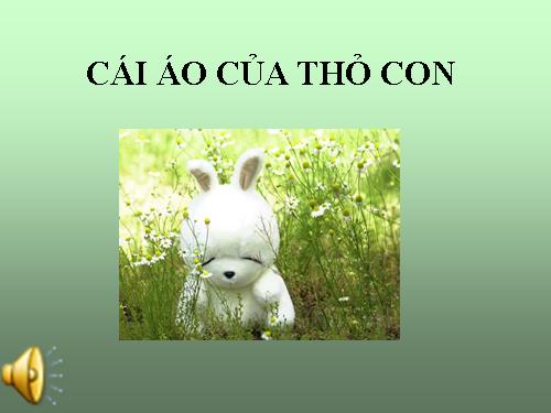 cai ao cua tho con