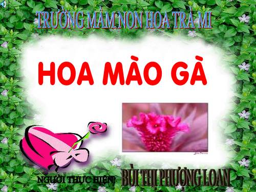 Sự tích Hoa Màu Gà