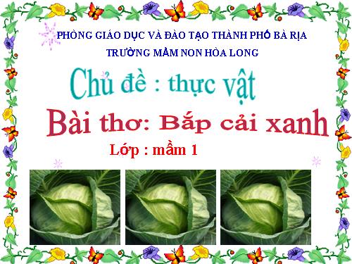 bai tho bap cai xanh