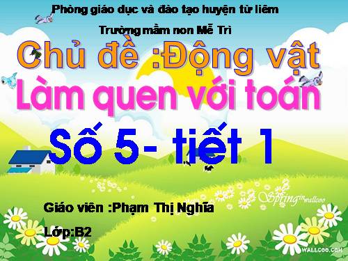 toan số 5