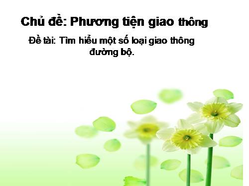 phuong tien giao thong