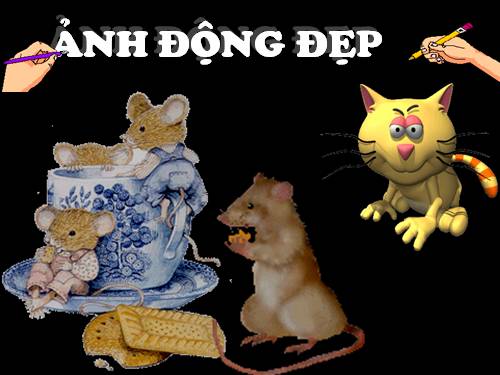 HINH DONG DEP