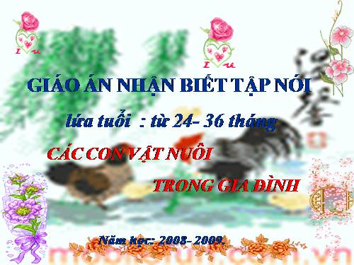 Động Vật nuôi trong gia đình