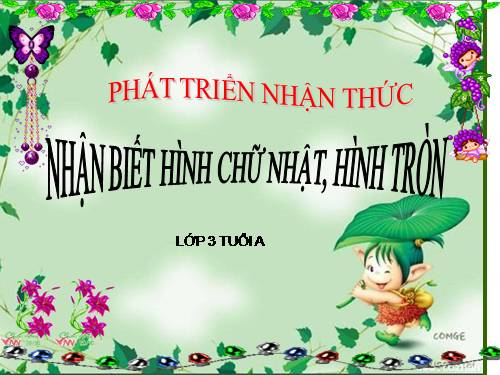 nhận biết hình tròn, hình chữ nhật